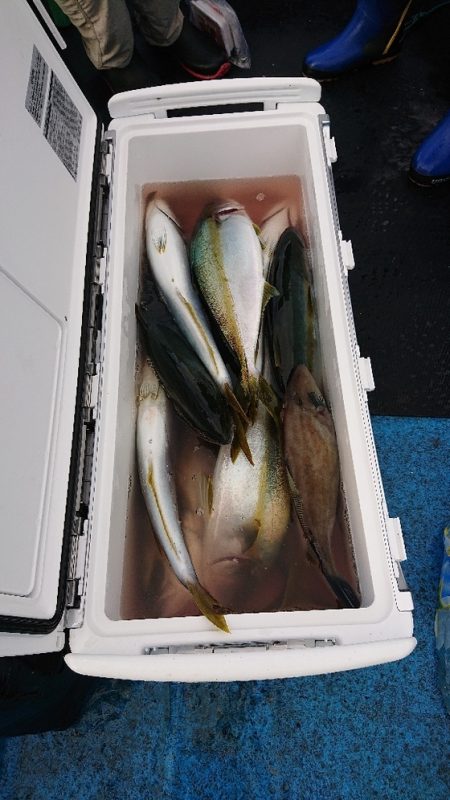 龍神丸（福井） 釣果