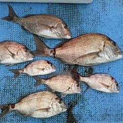 フィッシングガイド りょう 釣果