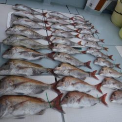 遊漁船 幸友丸 釣果