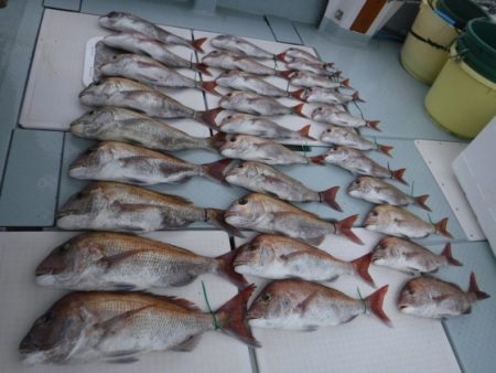 遊漁船 幸友丸 釣果