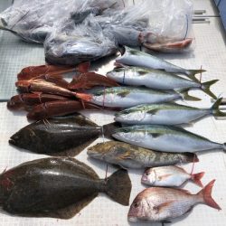 ふじしめ丸 釣果