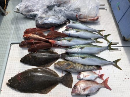 ふじしめ丸 釣果