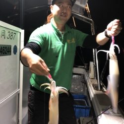 幸風（さちかぜ） 釣果