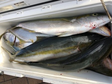 幸風（さちかぜ） 釣果
