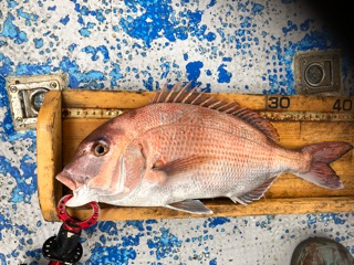 幸吉丸 釣果