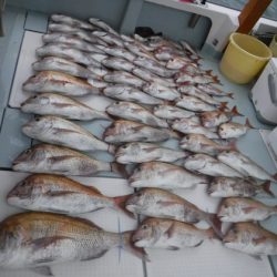 遊漁船 幸友丸 釣果