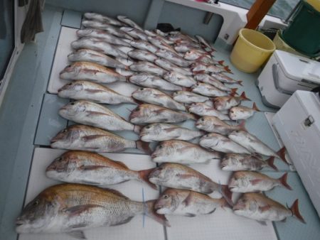 遊漁船 幸友丸 釣果