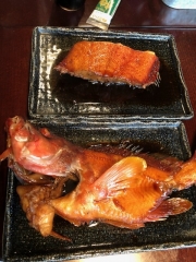 ことぶき丸 釣果