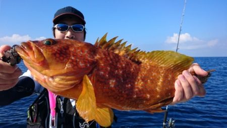 海晴丸 釣果