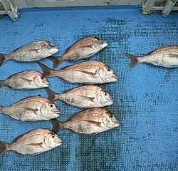 フィッシングガイド りょう 釣果
