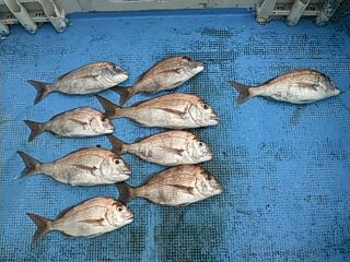 フィッシングガイド りょう 釣果