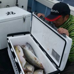 第五慶門丸 釣果