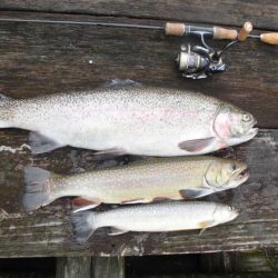 高萩ふれあいの里フィッシングエリア 釣果