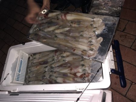 幸風（さちかぜ） 釣果