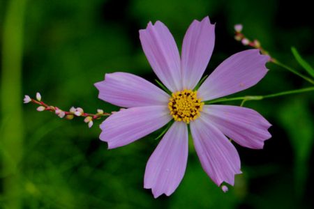 小菅トラウトガーデン 釣果