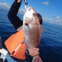 遊漁船ブルーウッズ 釣果