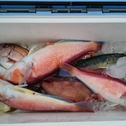 大進丸(新潟) 釣果