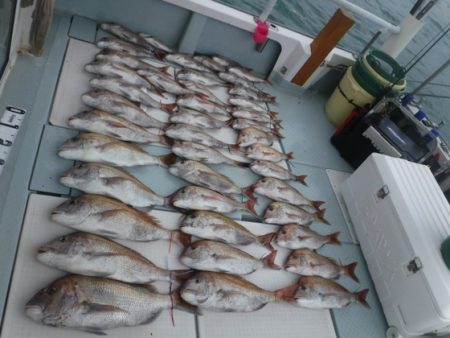 遊漁船 幸友丸 釣果