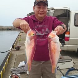 大進丸(新潟) 釣果