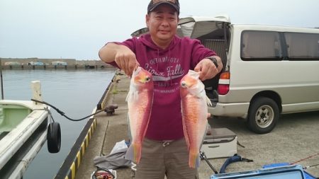 大進丸(新潟) 釣果