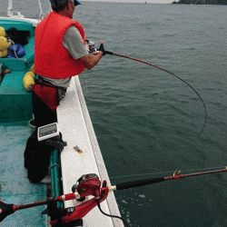 清和丸 釣果