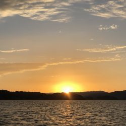 フィッシングボートACE（エース） 釣果