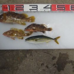 のとじま臨海公園海づりセンター 釣果