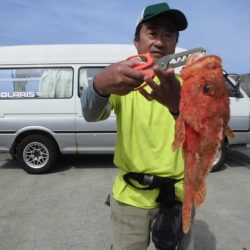 大進丸(新潟) 釣果