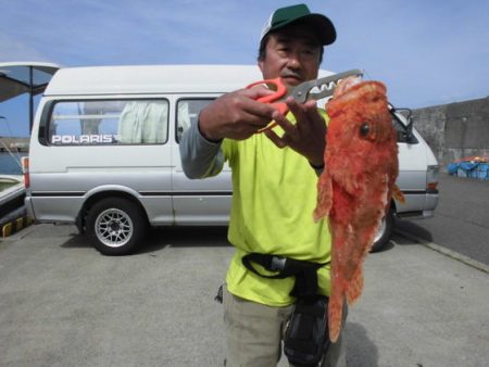 大進丸(新潟) 釣果