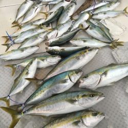 ミタチ丸 釣果