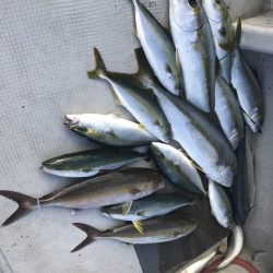 寿裕 （YOSHIHIRO） 釣果