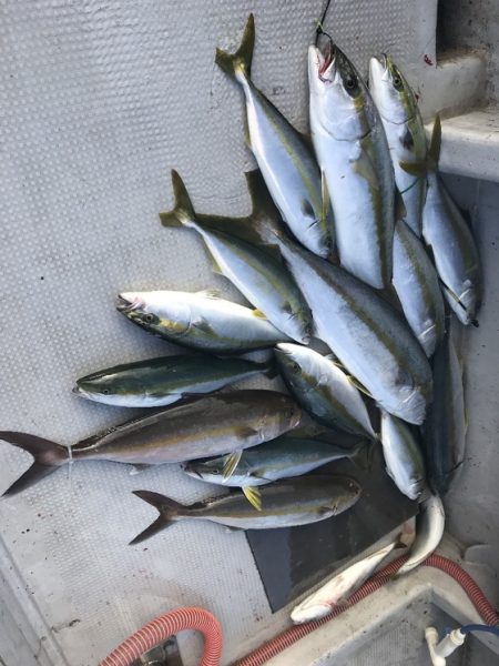 寿裕 （YOSHIHIRO） 釣果