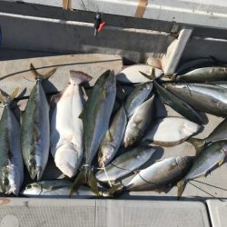 寿裕 （YOSHIHIRO） 釣果