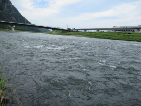 狩野川(狩野川漁業協同組合) 釣果