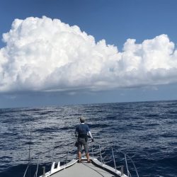 へいみつ丸 釣果