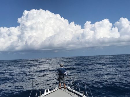 へいみつ丸 釣果