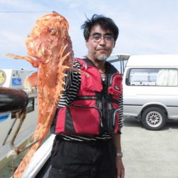 大進丸(新潟) 釣果