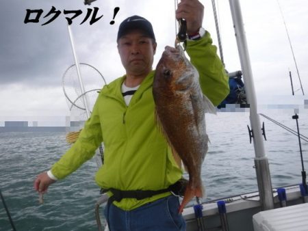 遊漁船 幸友丸 釣果