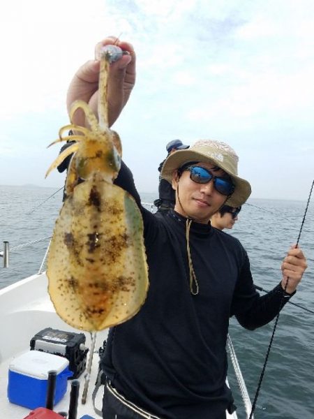 Magic（マジック） 釣果