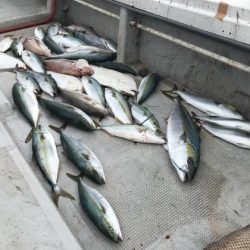 寿裕 （YOSHIHIRO） 釣果