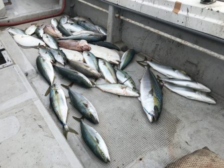 寿裕 （YOSHIHIRO） 釣果