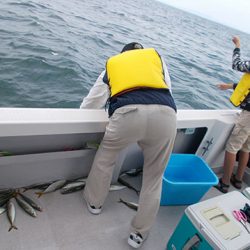 釣友丸 釣果