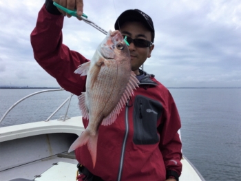 鯛紅丸 釣果