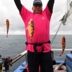 鯛紅丸 釣果