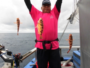 鯛紅丸 釣果