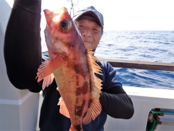 鯛紅丸 釣果