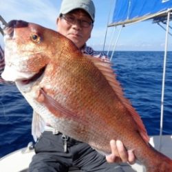 鯛紅丸 釣果