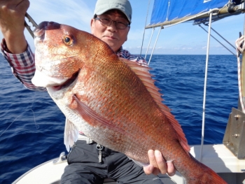 鯛紅丸 釣果