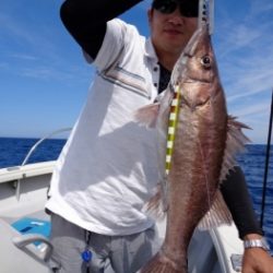 鯛紅丸 釣果