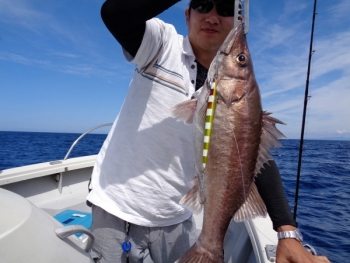 鯛紅丸 釣果